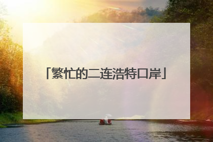 繁忙的二连浩特口岸