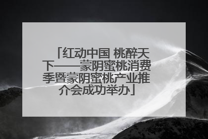 红动中国 桃醉天下——蒙阴蜜桃消费季暨蒙阴蜜桃产业推介会成功举办