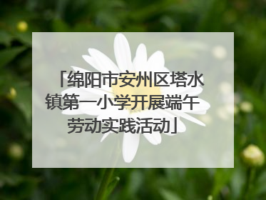 绵阳市安州区塔水镇第一小学开展端午劳动实践活动