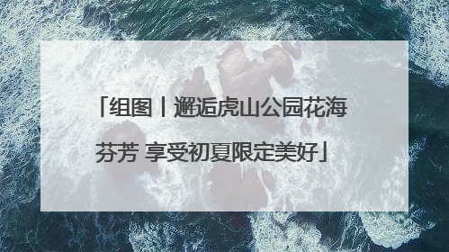 组图丨邂逅虎山公园花海芬芳 享受初夏限定美好