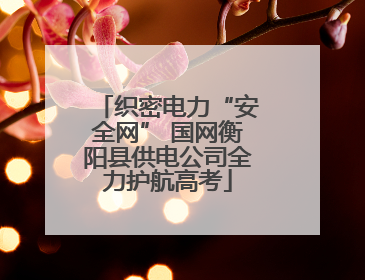 织密电力“安全网” 国网衡阳县供电公司全力护航高考