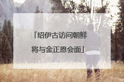 绍伊古访问朝鲜 将与金正恩会面