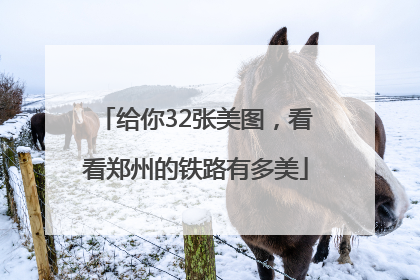 给你32张美图，看看郑州的铁路有多美