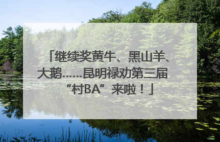 继续奖黄牛、黑山羊、大鹅……昆明禄劝第三届“村BA”来啦！