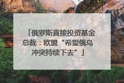 俄罗斯直接投资基金总裁：欧盟“希望俄乌冲突持续下去”