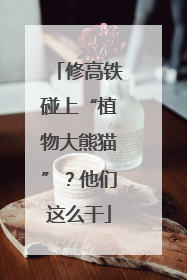 修高铁碰上“植物大熊猫”？他们这么干