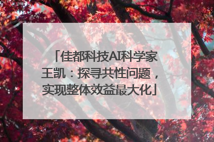 佳都科技AI科学家王凯：探寻共性问题，实现整体效益最大化