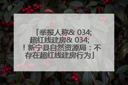 举报人称& 034;超红线建房& 034;！新宁县自然资源局：不存在超红线建房行为