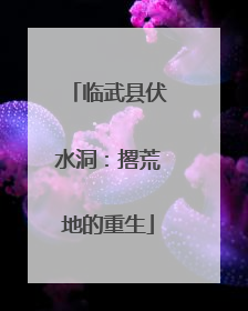 临武县伏水洞：撂荒地的重生