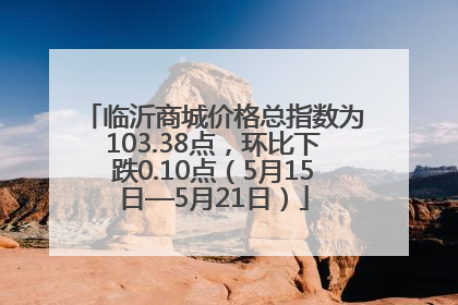 临沂商城价格总指数为103.38点，环比下跌0.10点（5月15日—5月21日）