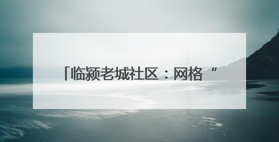 临颍老城社区：网格“暖治” 幸福“满格”