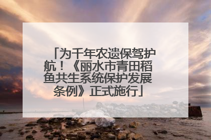 为千年农遗保驾护航！《丽水市青田稻鱼共生系统保护发展条例》正式施行