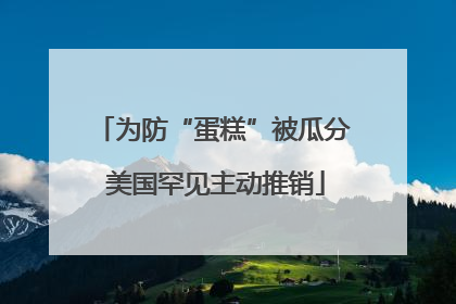 为防“蛋糕”被瓜分 美国罕见主动推销