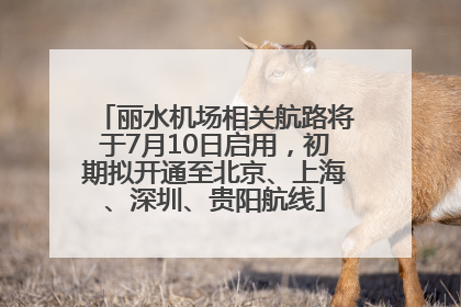 丽水机场相关航路将于7月10日启用，初期拟开通至北京、上海、深圳、贵阳航线