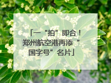 一“拍”即合！郑州航空港再添“国字号”名片