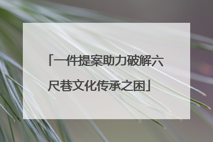 一件提案助力破解六尺巷文化传承之困