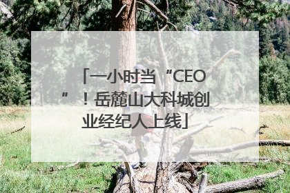 一小时当“CEO”！岳麓山大科城创业经纪人上线