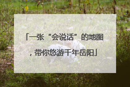 一张“会说话”的地图，带你悠游千年岳阳
