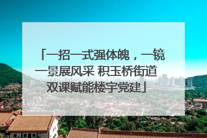 一招一式强体魄，一镜一景展风采 积玉桥街道双课赋能楼宇党建