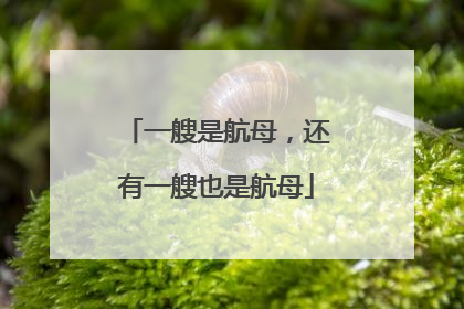 一艘是航母，还有一艘也是航母