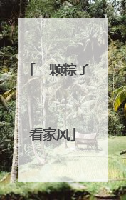 一颗粽子看家风
