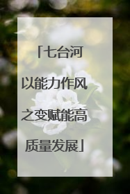 七台河 以能力作风之变赋能高质量发展