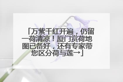万紫千红开遍，仍留一荷清凉！厦门赏荷地图已备好，还有专家带您区分荷与莲→