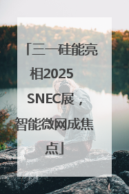 三一硅能亮相2025 SNEC展，智能微网成焦点