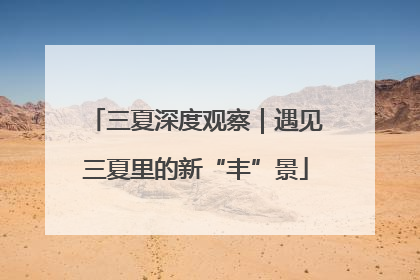 三夏深度观察｜遇见三夏里的新“丰”景