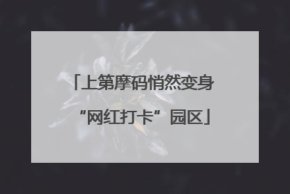 上第摩码悄然变身“网红打卡”园区