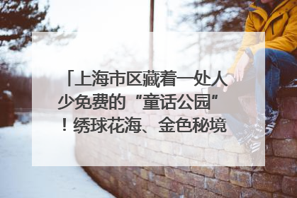 上海市区藏着一处人少免费的“童话公园”！绣球花海、金色秘境……地铁直达→
