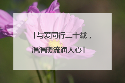 与爱同行二十载，涓涓暖流润人心