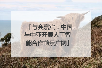 与会嘉宾：中国与中亚开展人工智能合作前景广阔