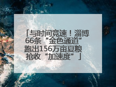 与时间竞速！淄博66条“金色通道”跑出156万亩夏粮抢收“加速度”