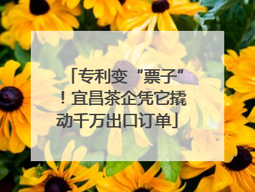 专利变“票子”！宜昌茶企凭它撬动千万出口订单