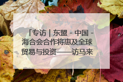 专访｜东盟－中国－海合会合作将惠及全球贸易与投资——访马来西亚亚太“一带一路”共策会高级研究员本恩·纳戈拉