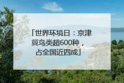 世界环境日：京津冀鸟类超600种，占全国近四成