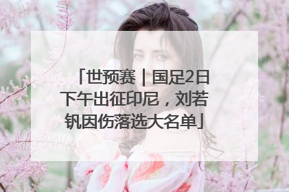 世预赛｜国足2日下午出征印尼，刘若钒因伤落选大名单