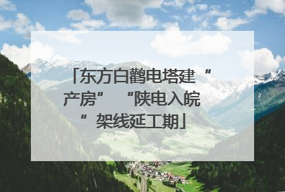 东方白鹳电塔建“产房” “陕电入皖”架线延工期