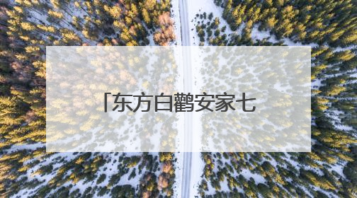 东方白鹳安家七星河保护区 人工巢迎来首批鹳宝