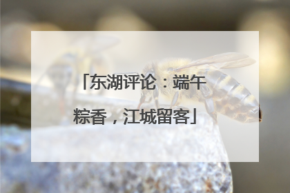 东湖评论：端午粽香，江城留客
