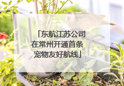 东航江苏公司在常州开通首条宠物友好航线
