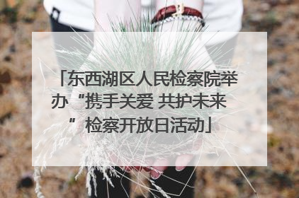东西湖区人民检察院举办“携手关爱 共护未来”检察开放日活动