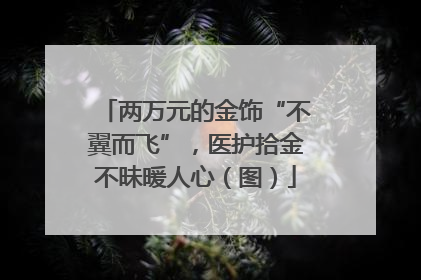 两万元的金饰“不翼而飞”，医护拾金不昧暖人心（图）