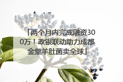 两个月内完成融资300万！政银联动助力成都金堂羊肚菌卖全球