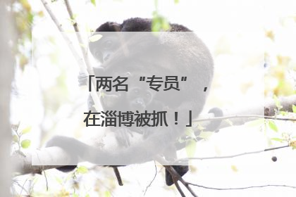 两名“专员”，在淄博被抓！