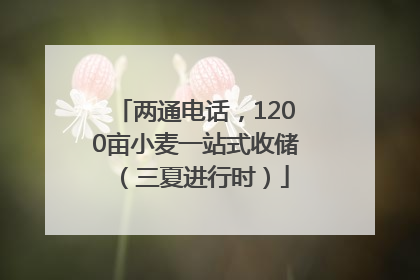 两通电话，1200亩小麦一站式收储（三夏进行时）