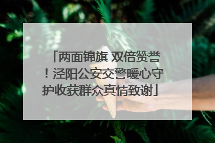两面锦旗 双倍赞誉！泾阳公安交警暖心守护收获群众真情致谢