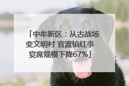 中牟新区：从古战场变文明村 官渡镇红事宴席规模下降67%