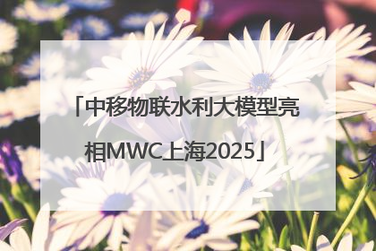 中移物联水利大模型亮相MWC上海2025
